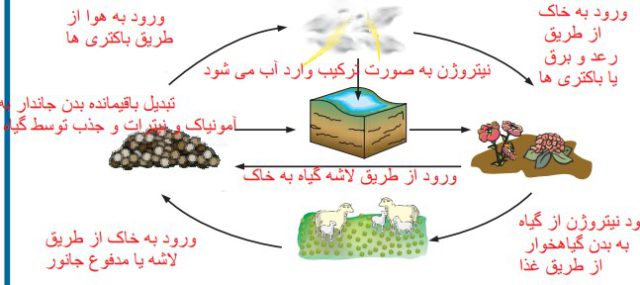 جواب فعالیت های علوم نهم, کتاب علوم نهم, گام به گام علوم نهم